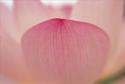 thống kê giải đặc biệt xsmb