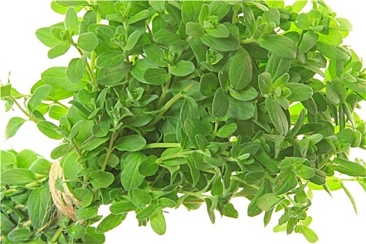 kết quả xổ số 90 ngày