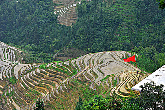 xsmb thu 4 du doan