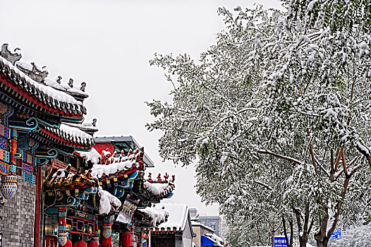 soi cầu đài phát miền nam